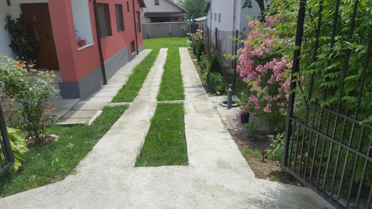 ホテルVila Alex Călimăneşti エクステリア 写真