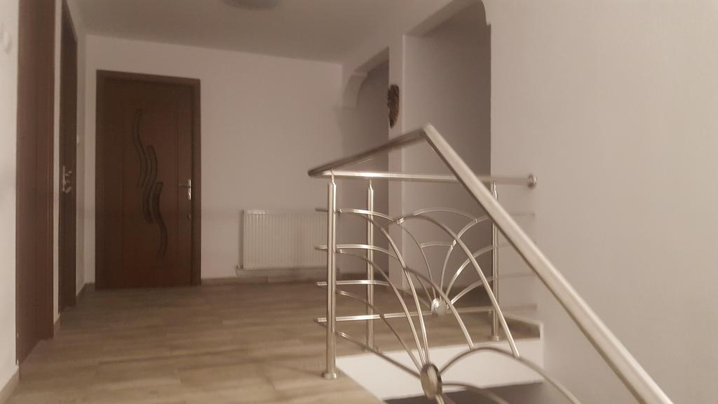 ホテルVila Alex Călimăneşti エクステリア 写真