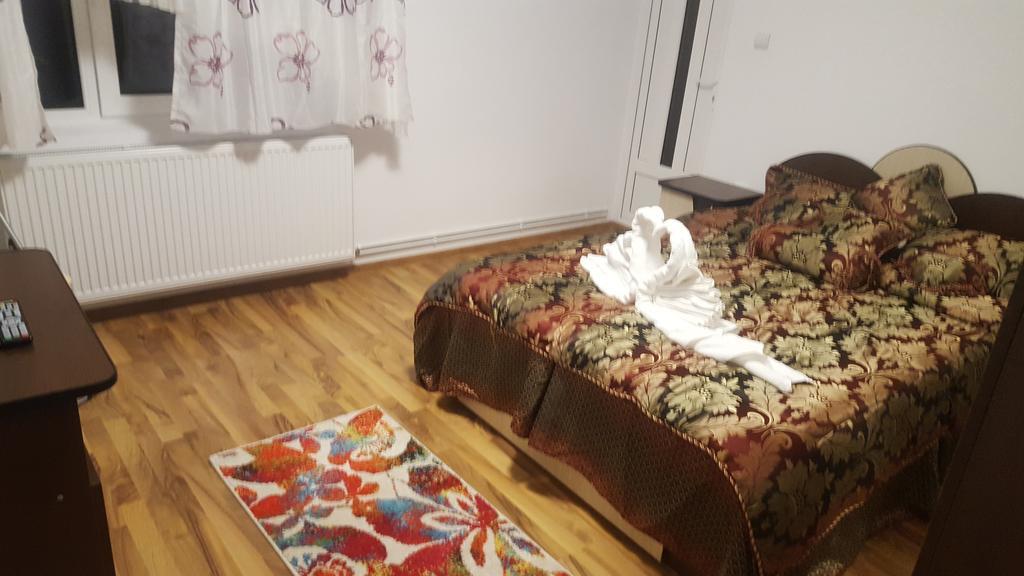 ホテルVila Alex Călimăneşti エクステリア 写真