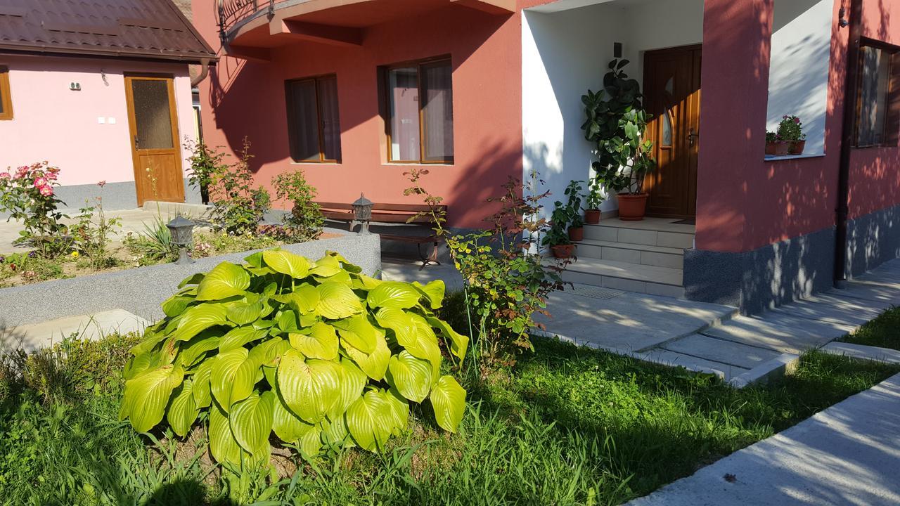 ホテルVila Alex Călimăneşti エクステリア 写真