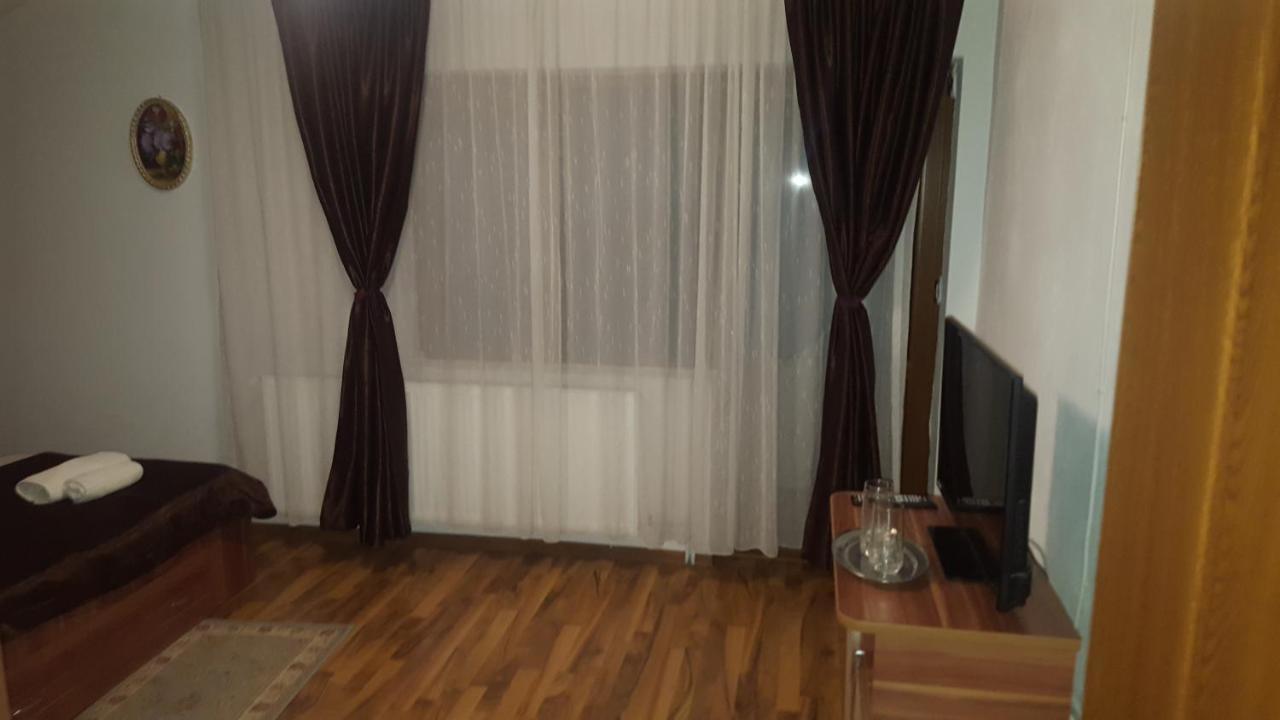 ホテルVila Alex Călimăneşti エクステリア 写真